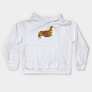 Corgi - Pembroke Welsh Corgi Stand Kids Hoodie